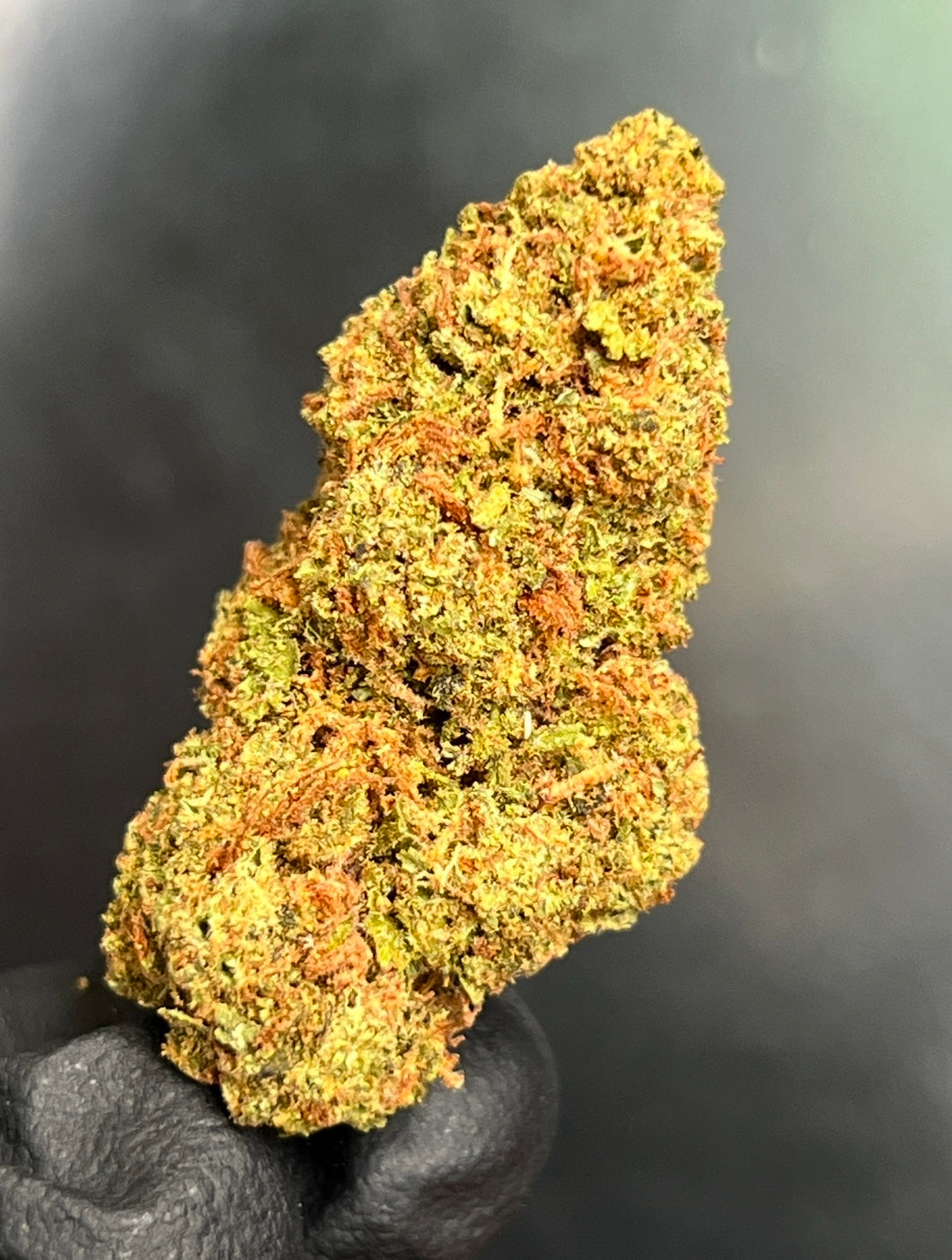 Junglist Flower
