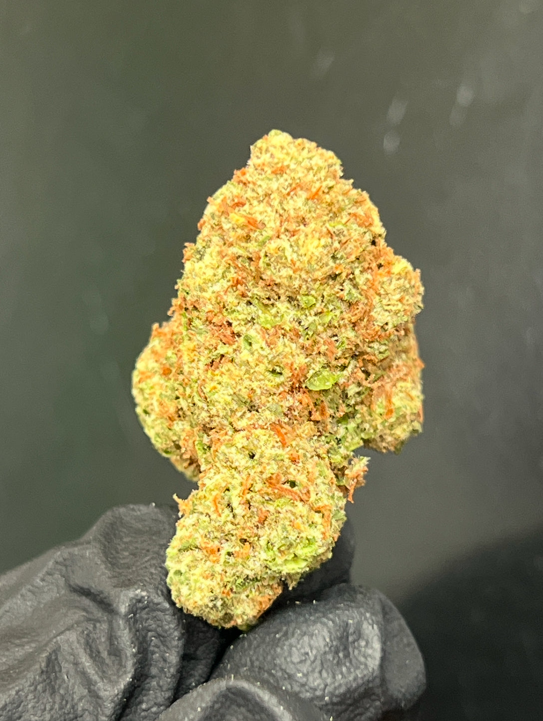 Zesty Cakes Flower