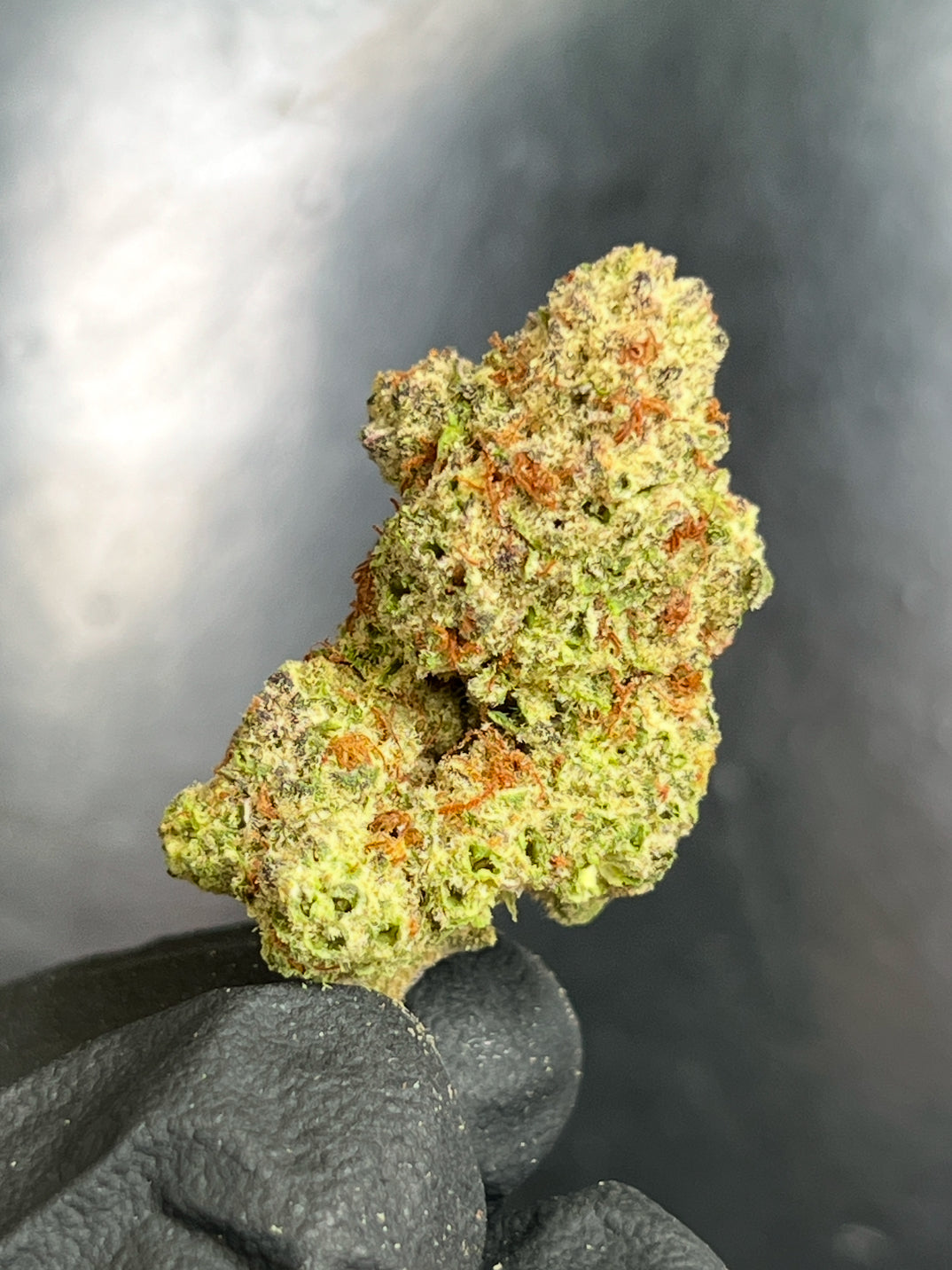 Platinum Runtz Flower
