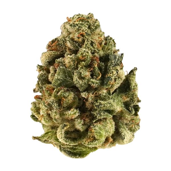 Boom Blast - Flower