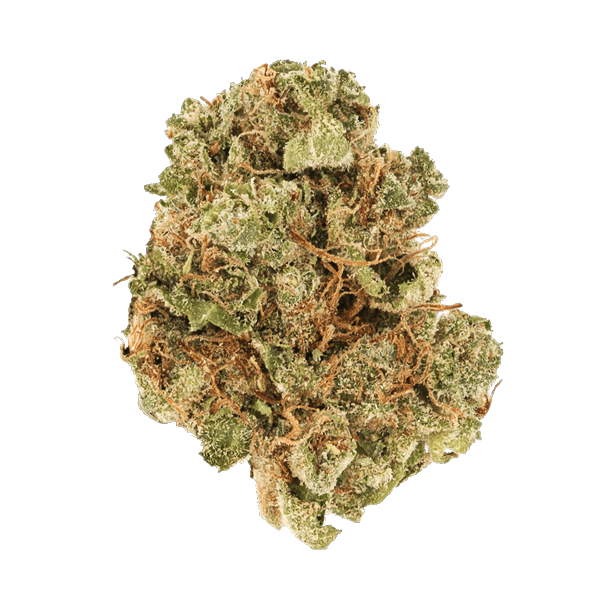 Golden Apple - Flower