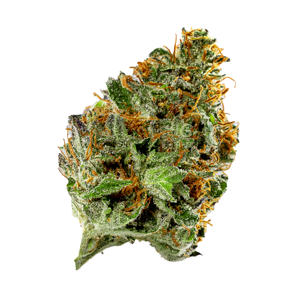 Night Nurse - Flower