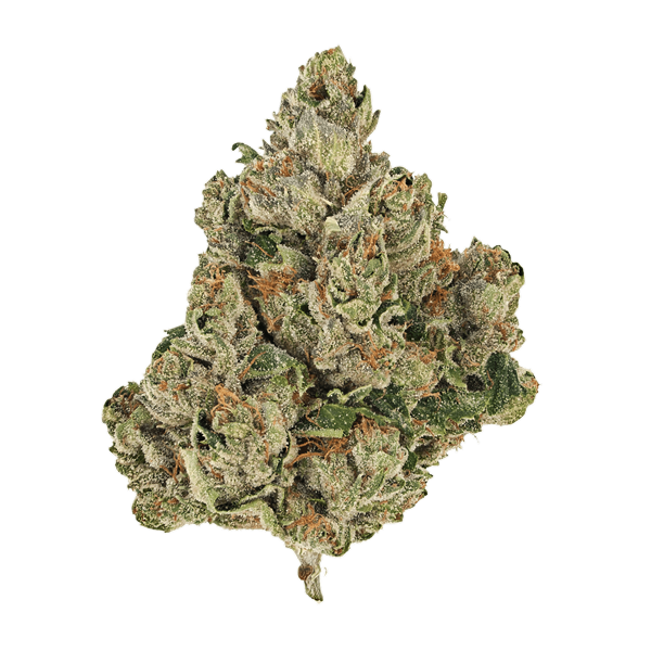 Swiss Cheese - Flower